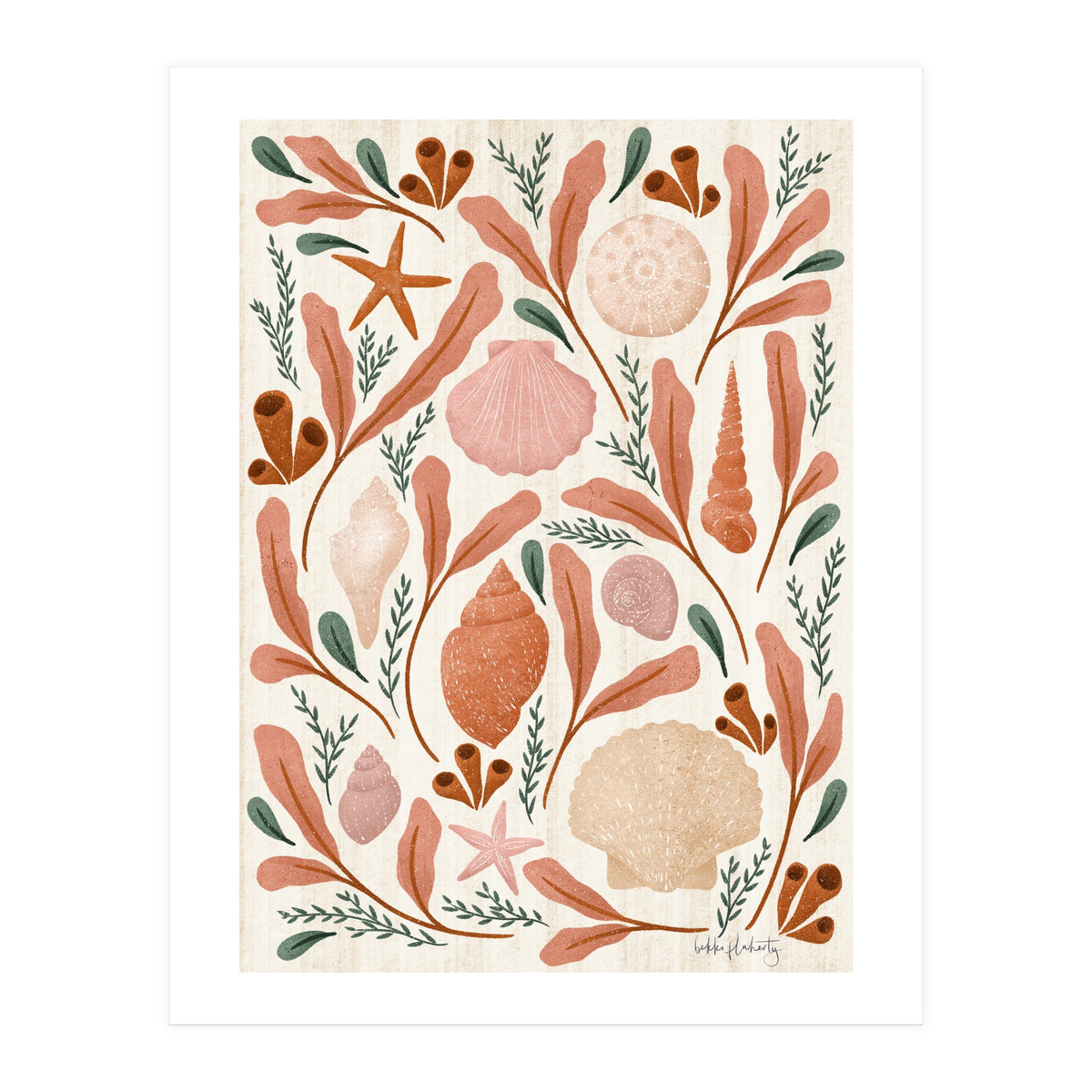 Shells Collection (Print Only)