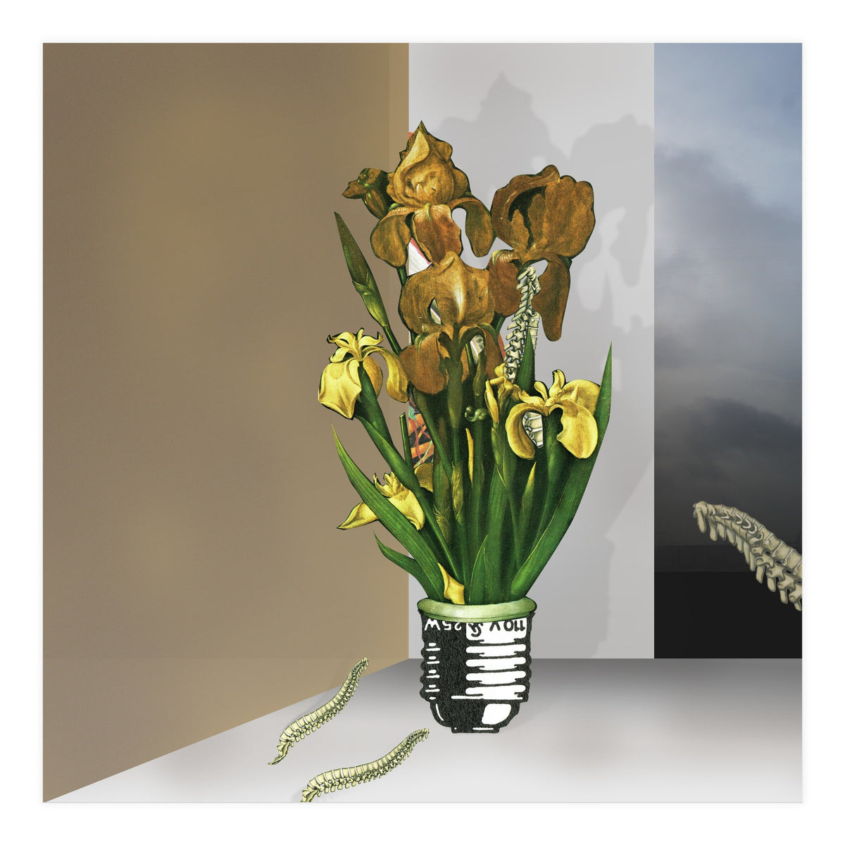 Das Licht Der Pflanze (Print Only)