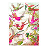 Haven (Print Only) thumbnail