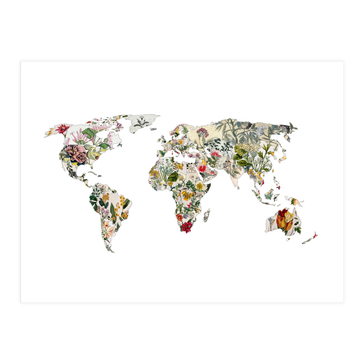 Vintage Botanical Map (Print Only)