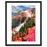 Valley of Pink Trees | Fantasy Pop of Color Forest Nature | Jungle Adventure Road Trip Pine thumbnail
