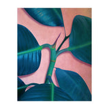 Ficus Elastica (Print Only) thumbnail