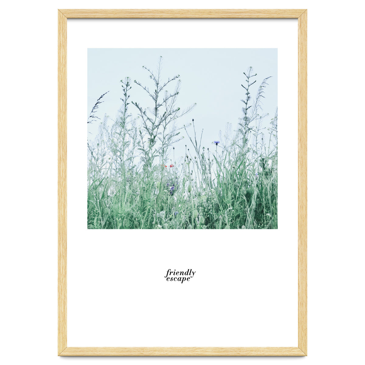 Friendly escape - Nature Photography -