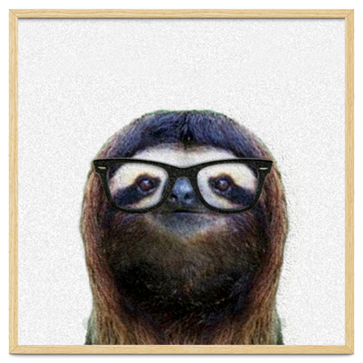 Geek Sloth