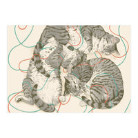 Cats (Print Only)