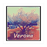 Olive Tree In Verona (Print Only)