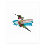 Modern Hummingbird II (Print Only) thumbnail