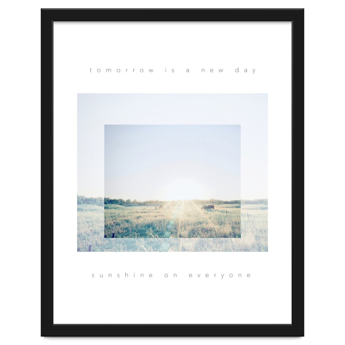 sunshine on everyone