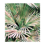 Palms II (Print Only) thumbnail
