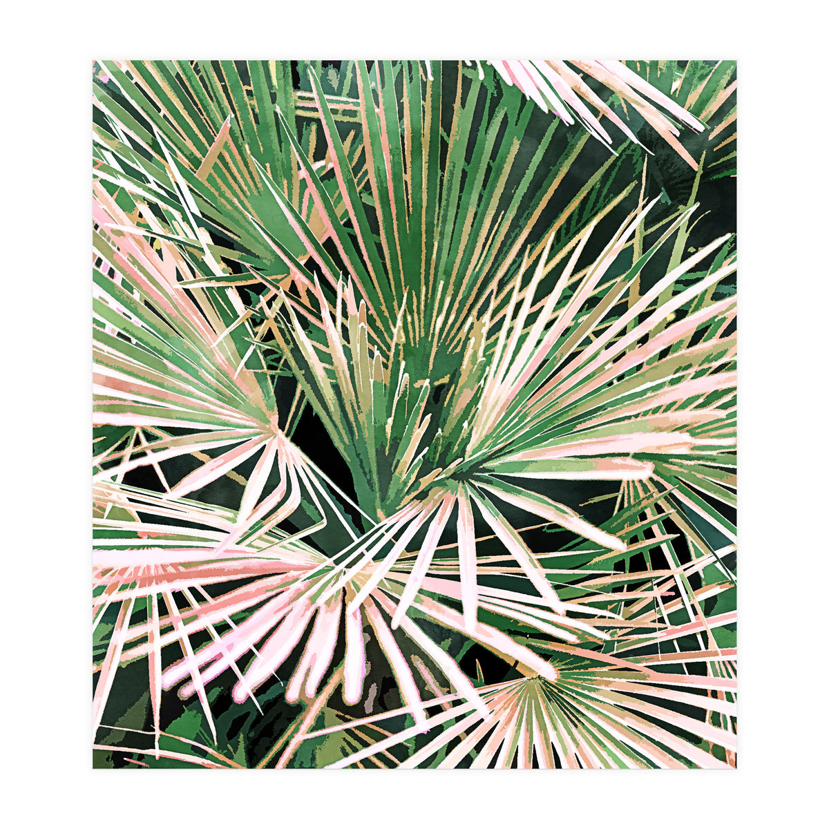 Palms II (Print Only)