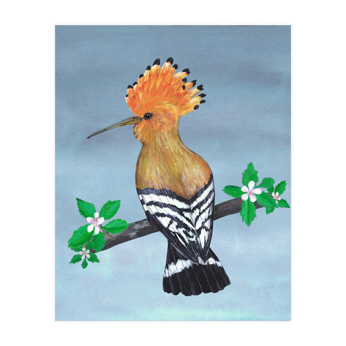 Hoopoe bird (Print Only)