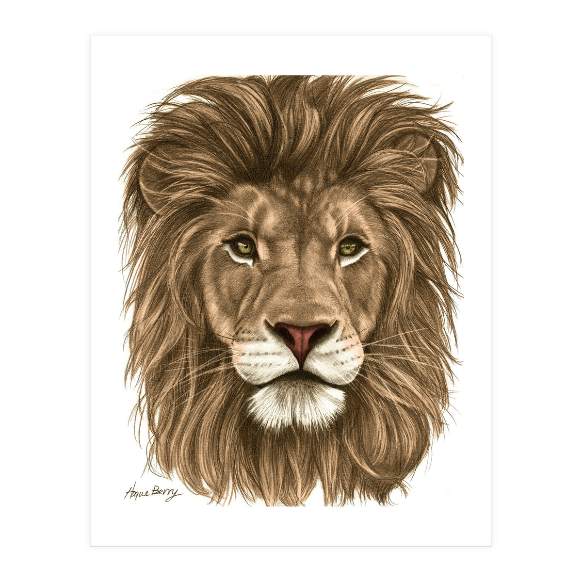 The Majestic Lion (Print Only)