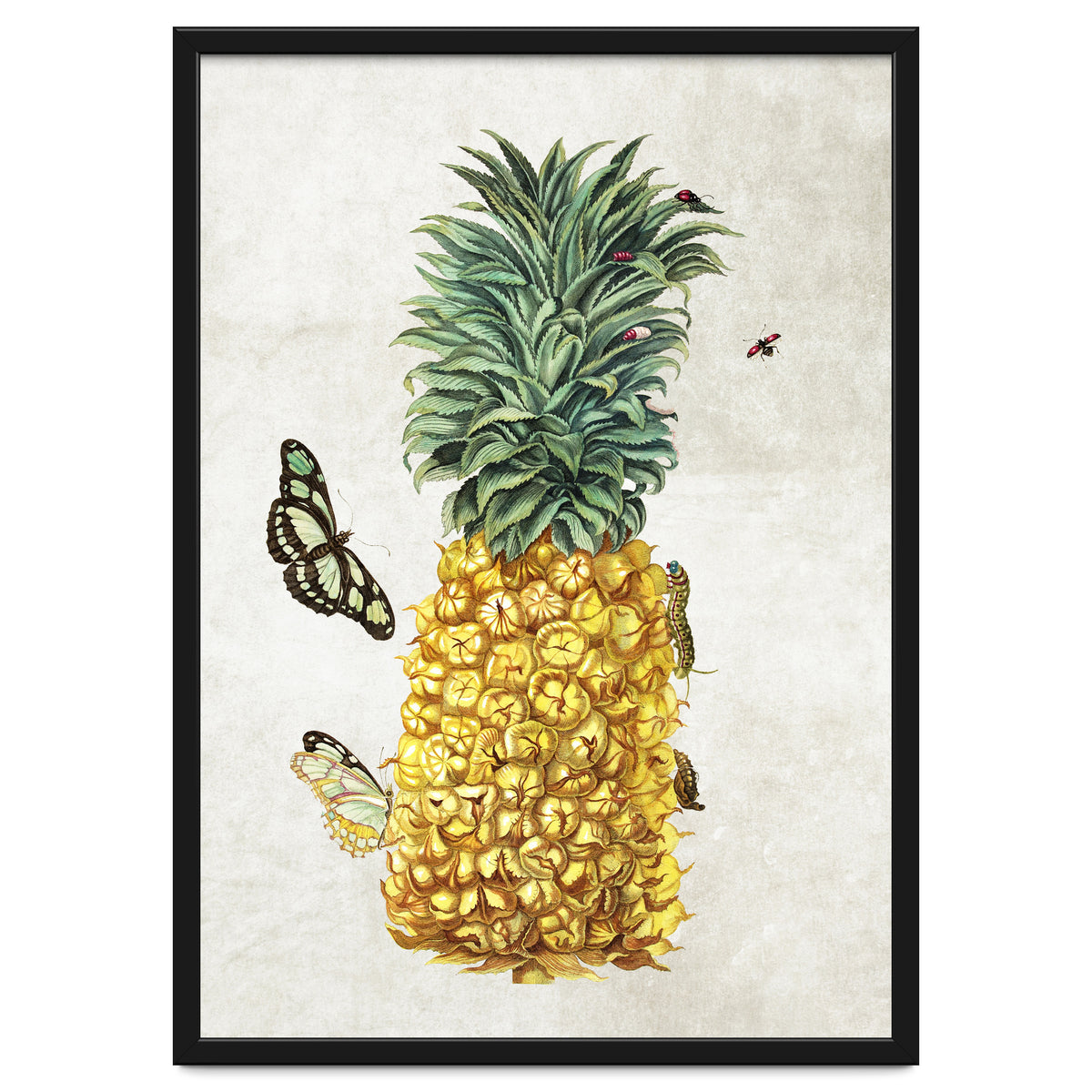 ananas