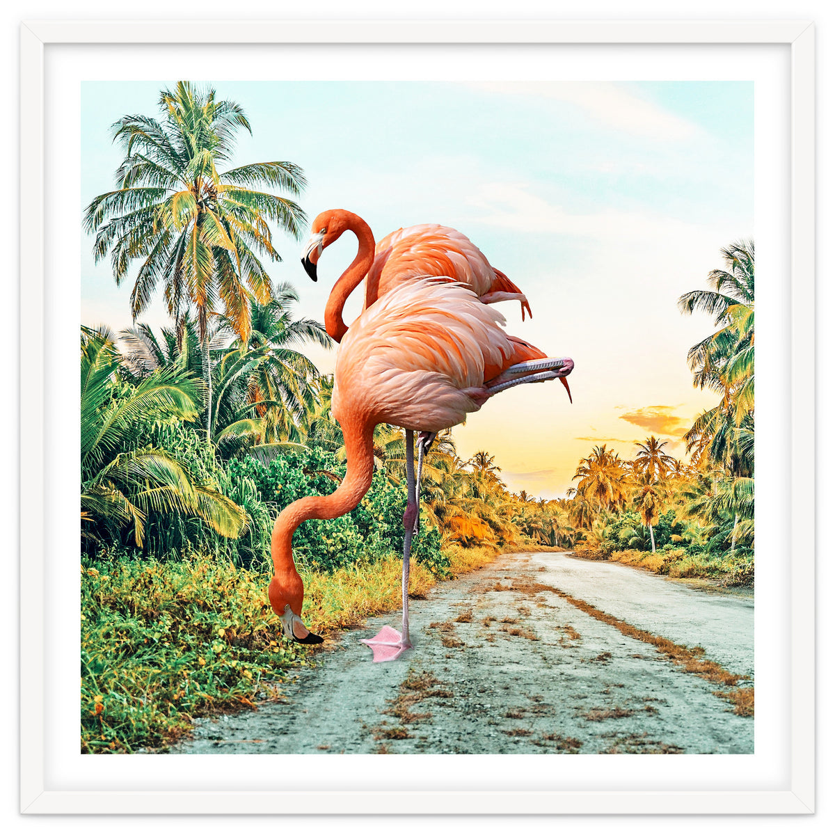 Flamingo Vacay