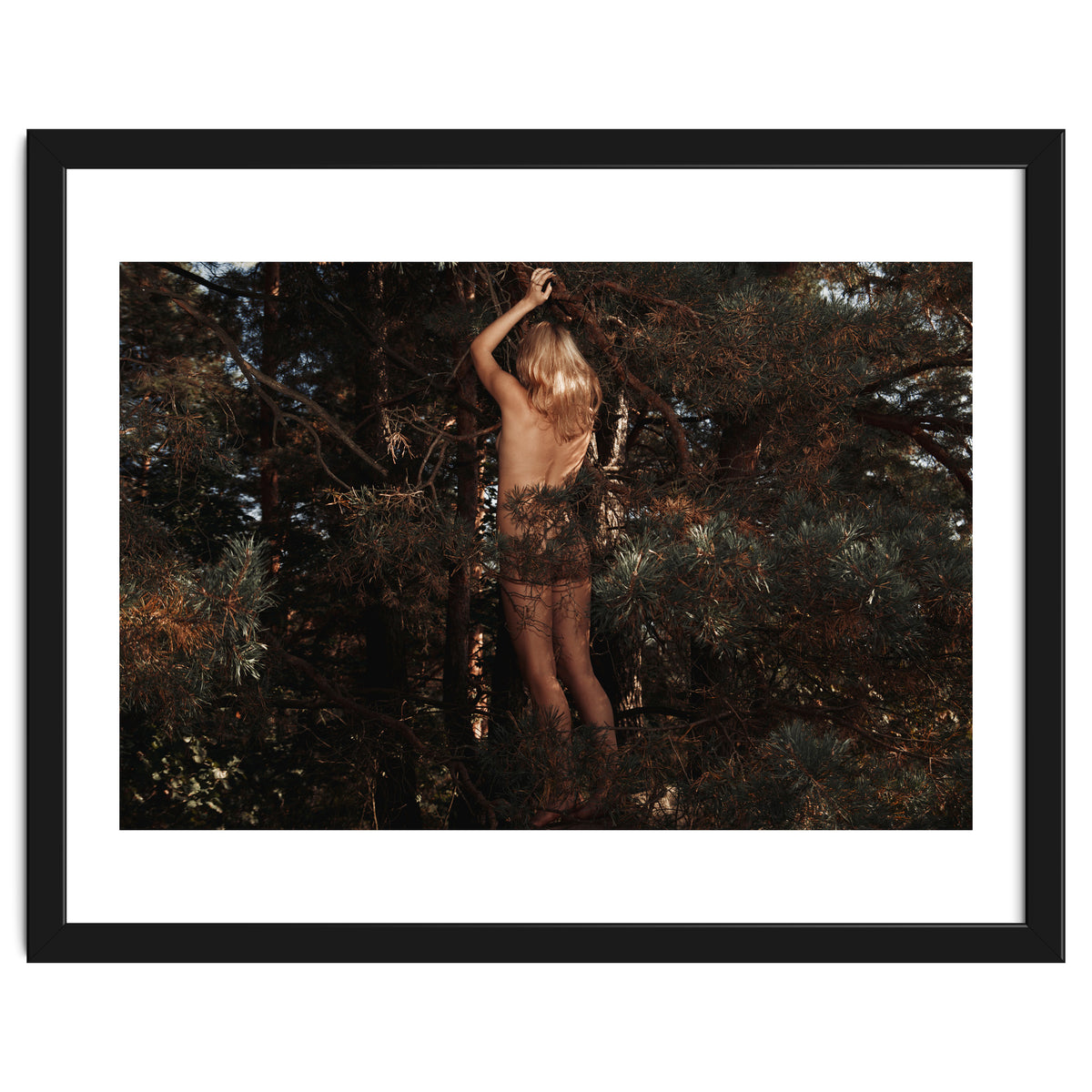 The kids Are all Wild