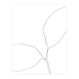Seedling Leaning Left (Print Only) thumbnail
