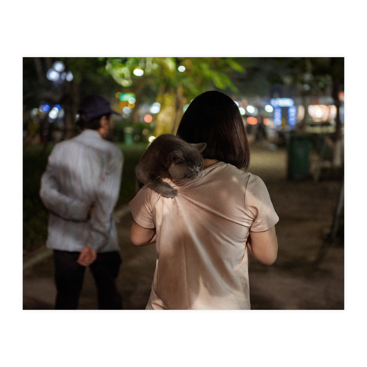 Cats of Vietnam (Print Only)