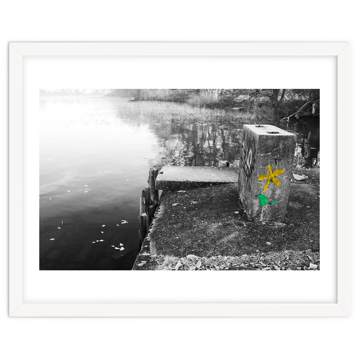 Frozen Ground Yellow Flower Street Art