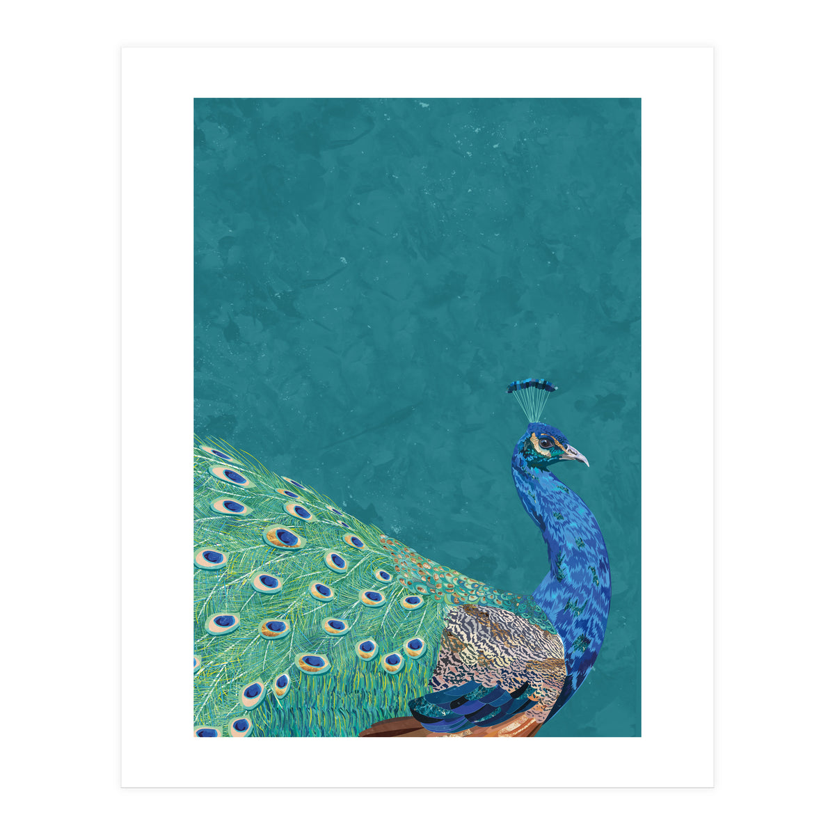 Perfect Peacock Turquoise Portrait (Print Only)