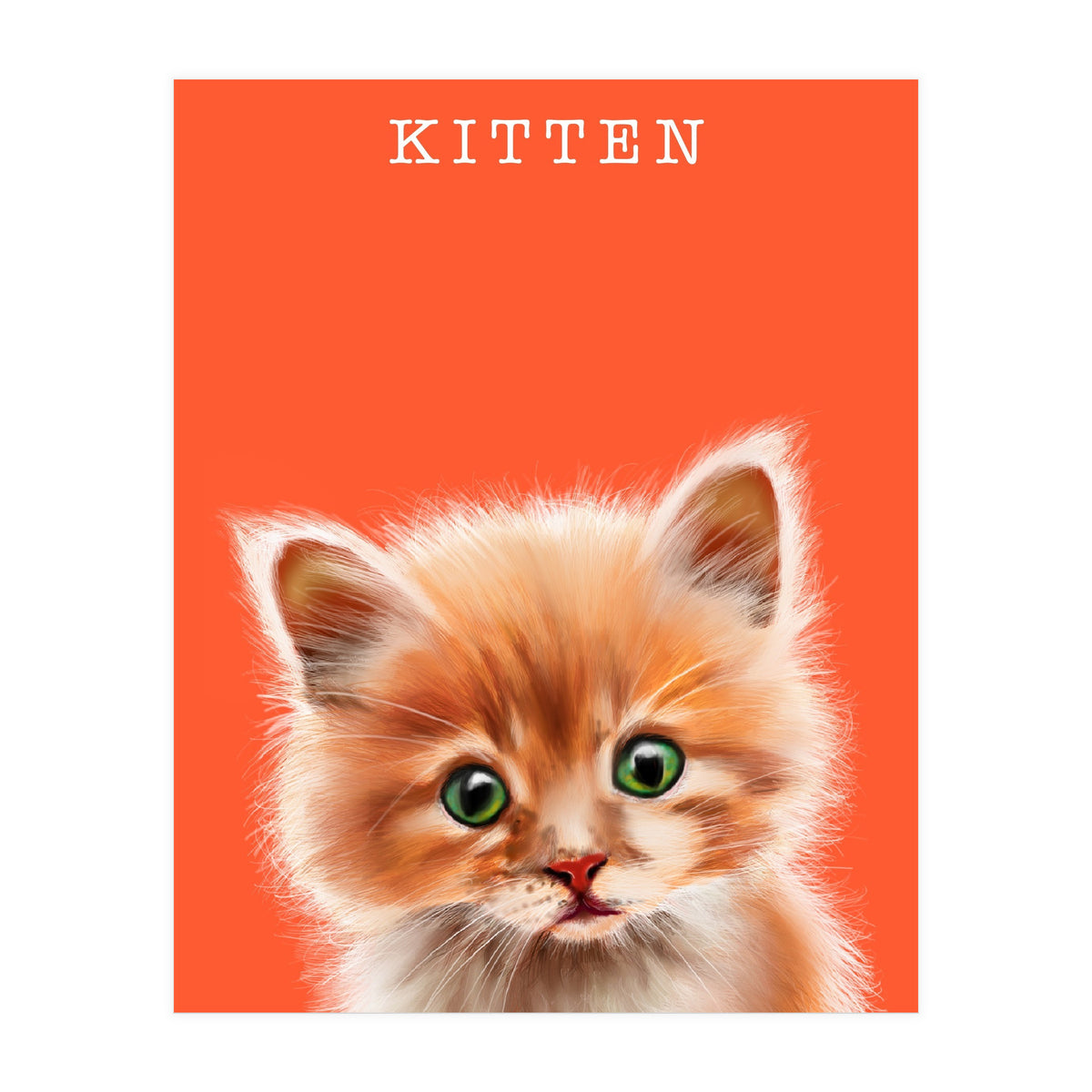 Kitten (Print Only)