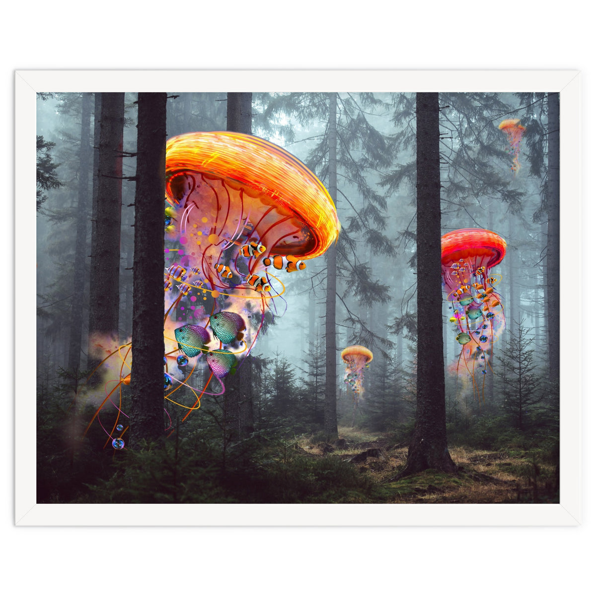 Forest Jellyfish For Print7000