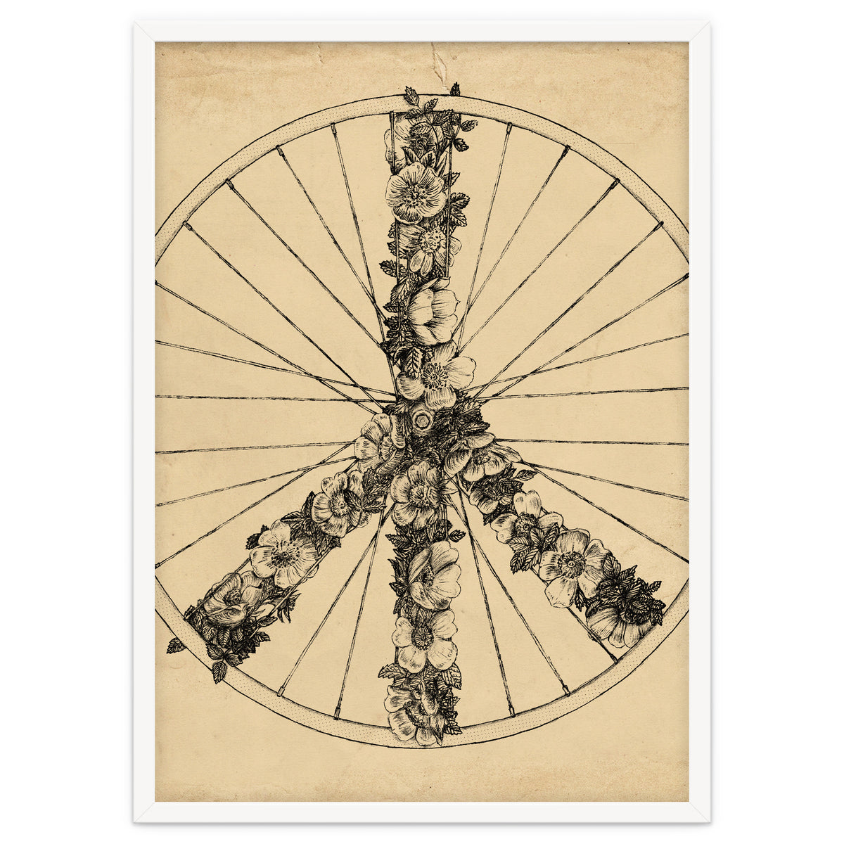 Peace And Bike Lines