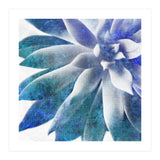 Rough Beauty 3 (Print Only) thumbnail