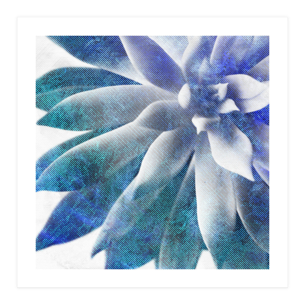 Rough Beauty 3 (Print Only)