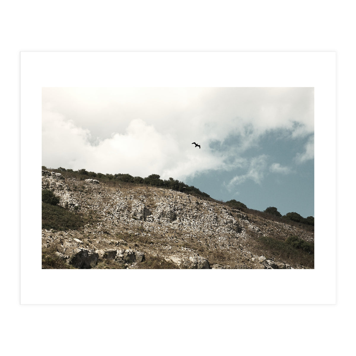 Soar High (Print Only)