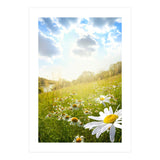 Nature (Print Only) thumbnail