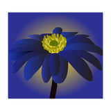 Anemone Blanda Flower Art (Print Only) thumbnail