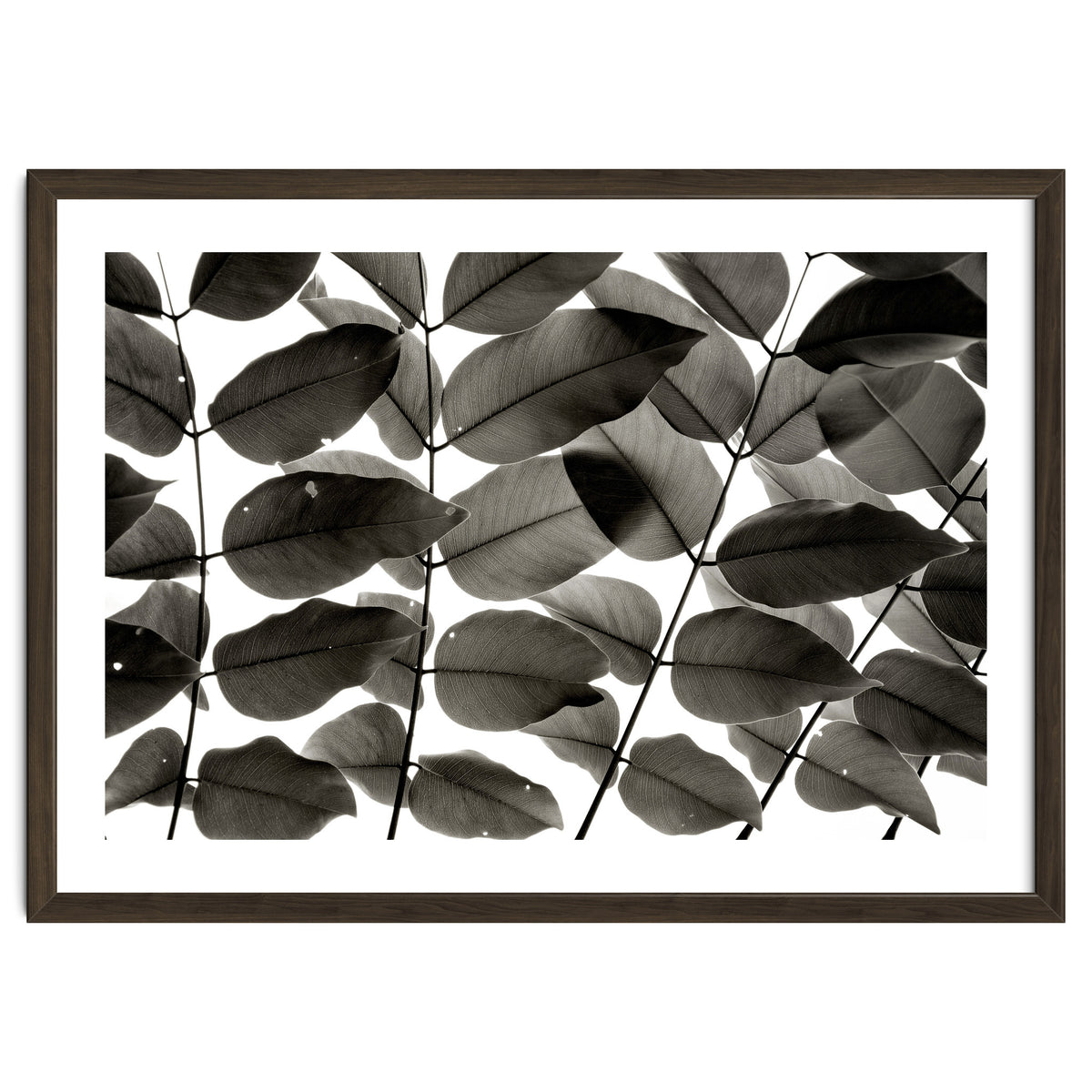 Branches and Leaves I