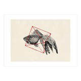 Fish In Geometrics III (Print Only) thumbnail