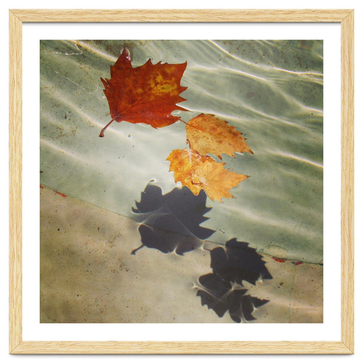 Floating leaves