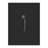 Simple Golden Botanical (Print Only) thumbnail