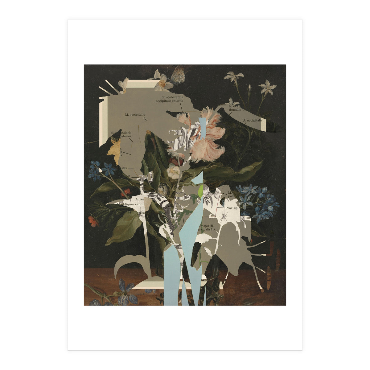 The First Plant · D2 (Print Only)