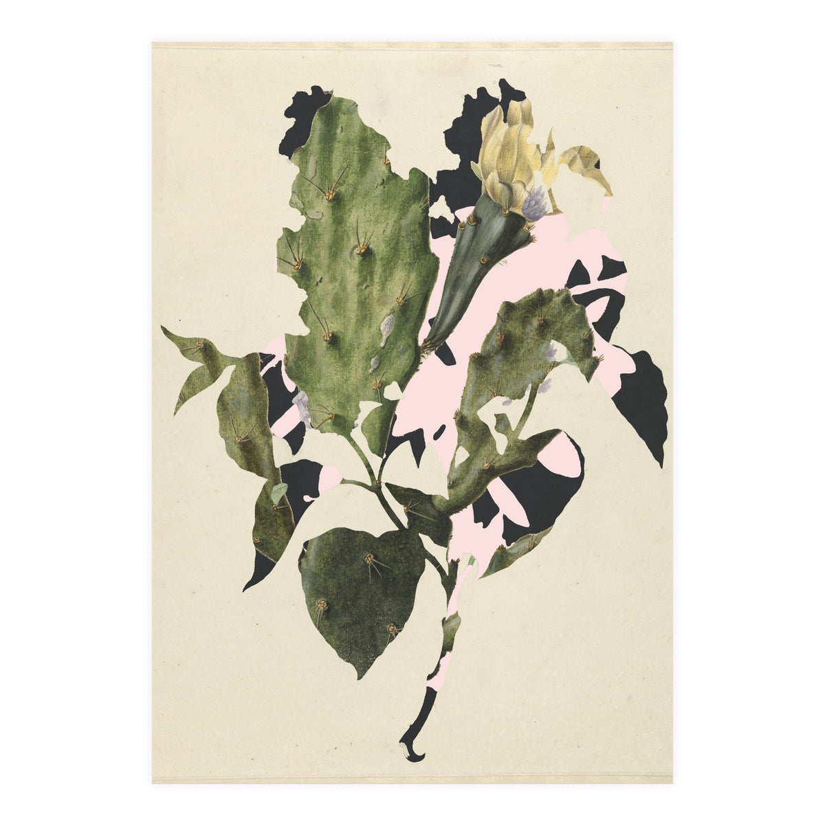 The First Plant · E3 (Print Only)