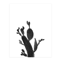 Cactus Black And White 02 (Print Only)