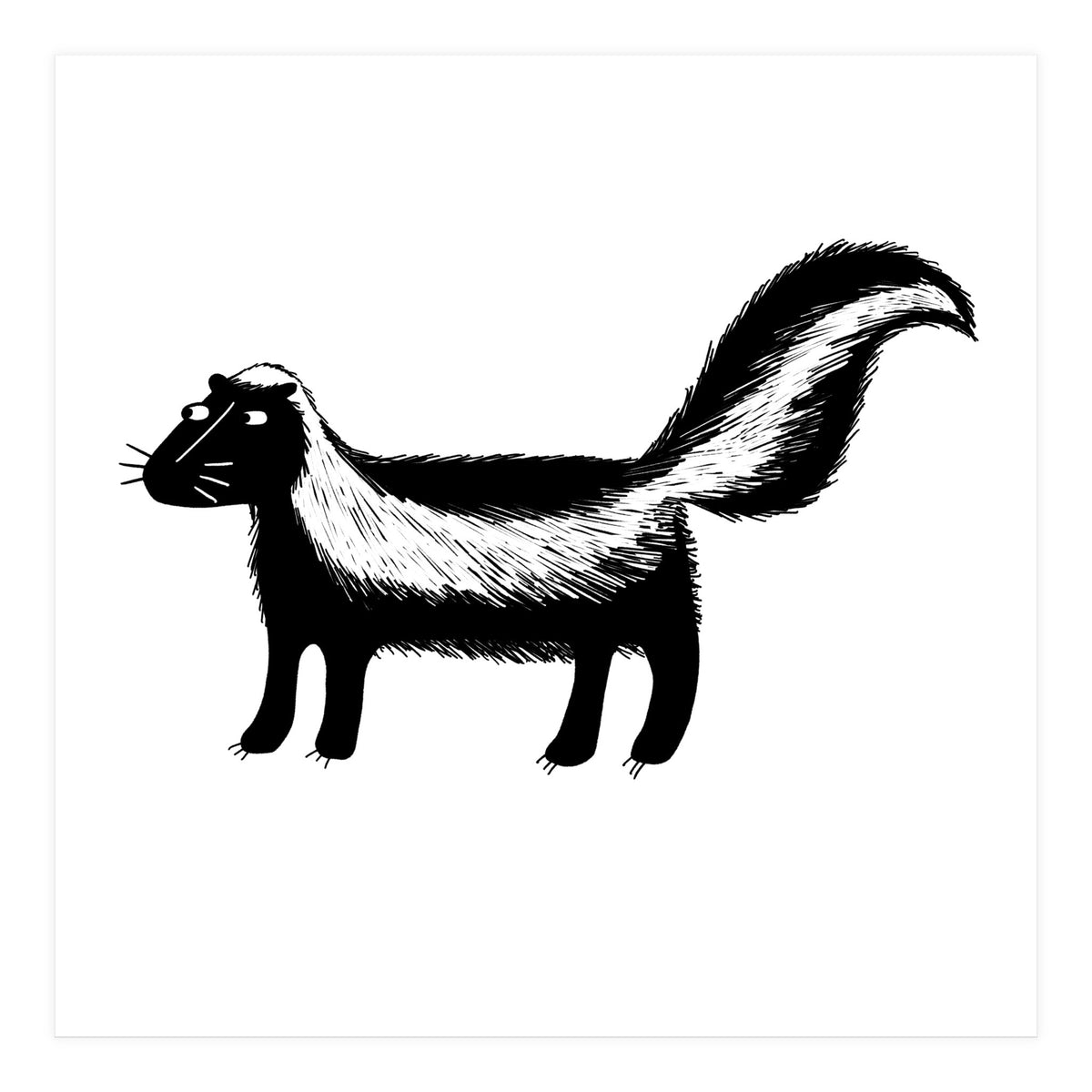 Skunk (Print Only)