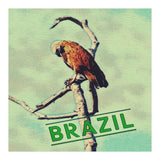 Eagle in Brazil (Print Only) thumbnail