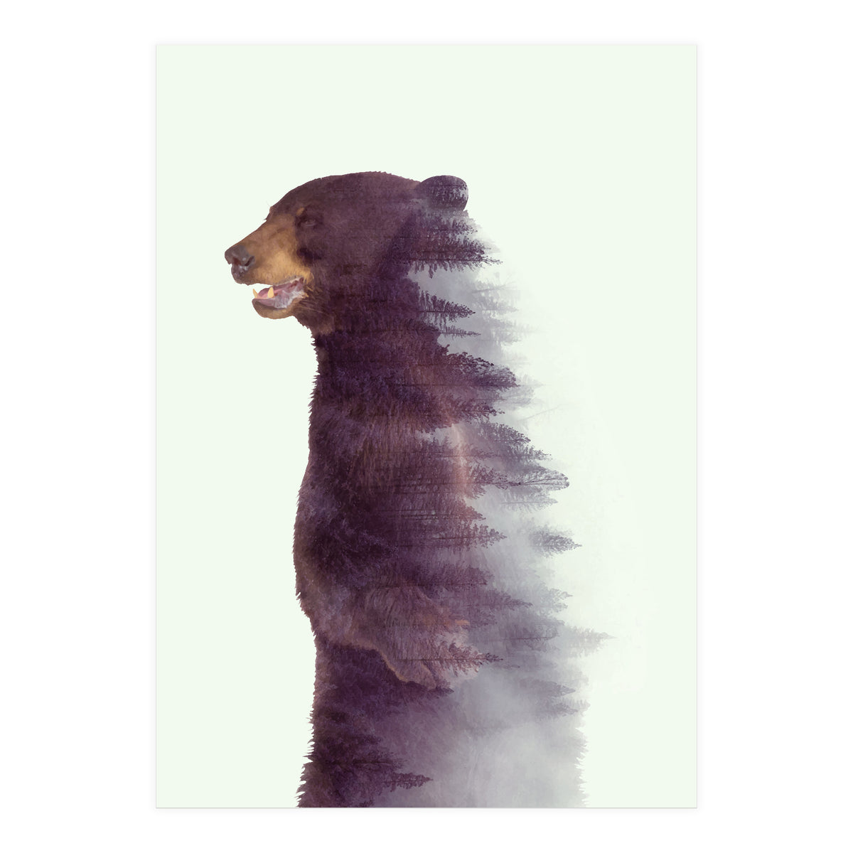 Awakening (Print Only)