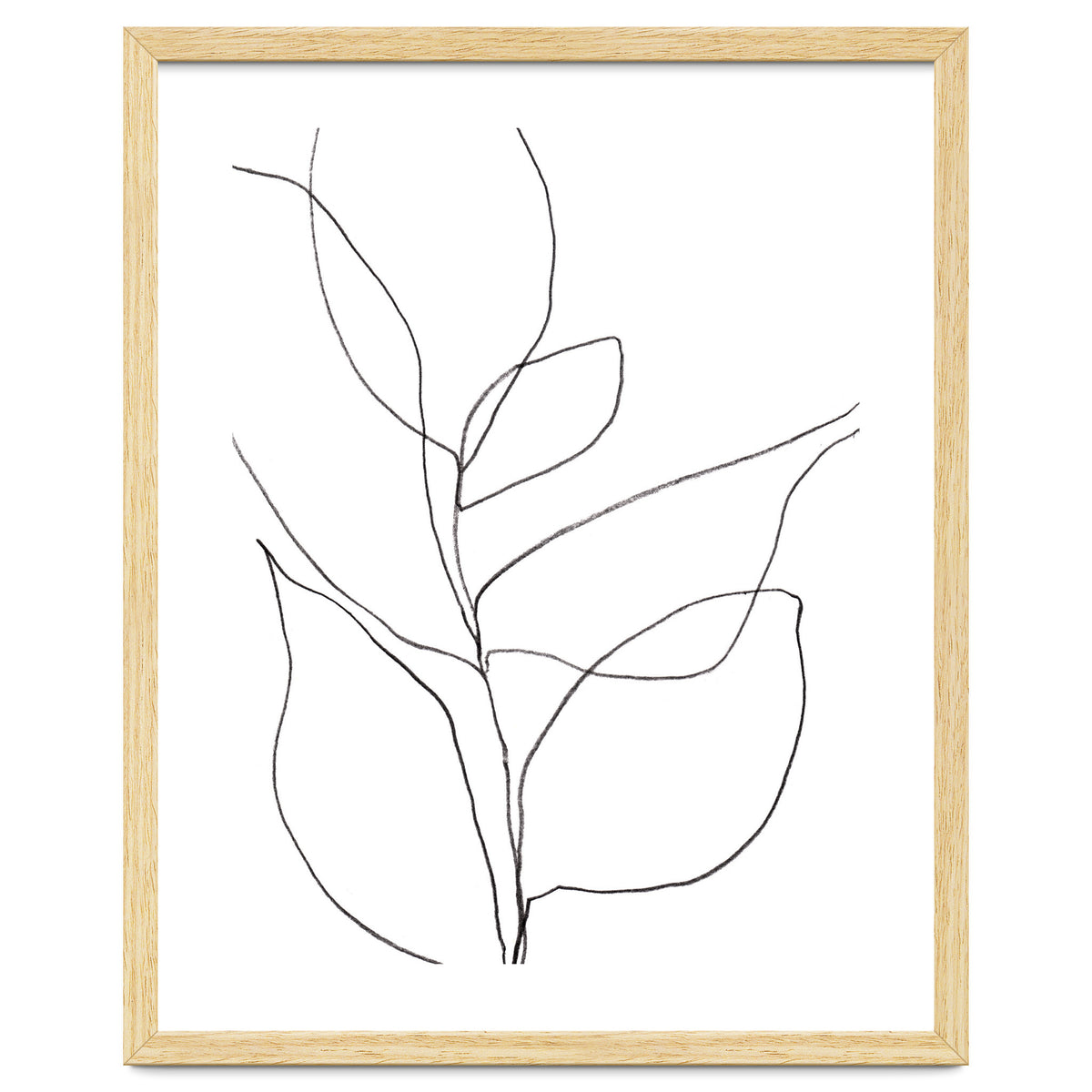 Plant Line Drawing