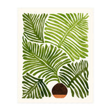 Modern Fern (Print Only) thumbnail