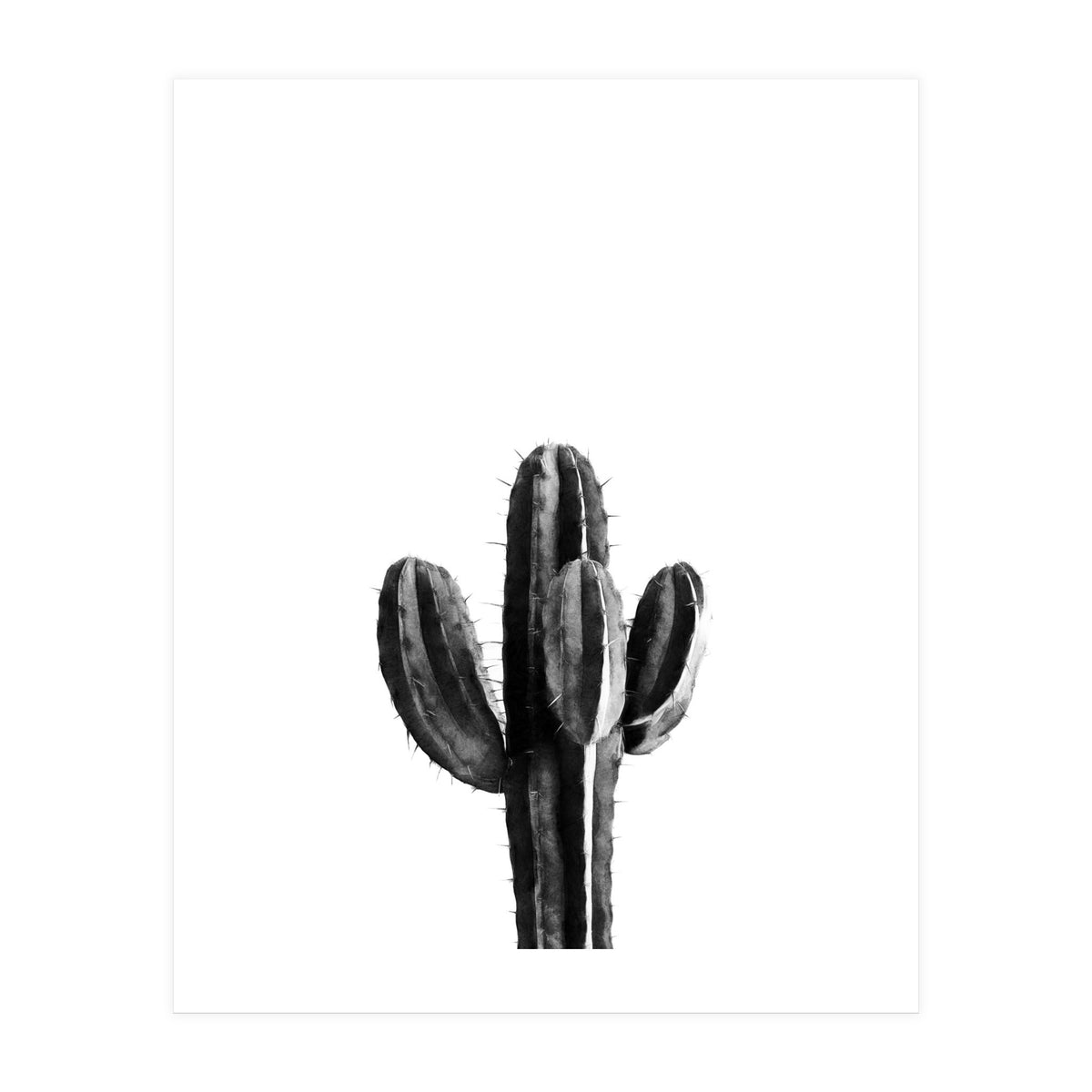 Cactus Black And White 03 (Print Only)