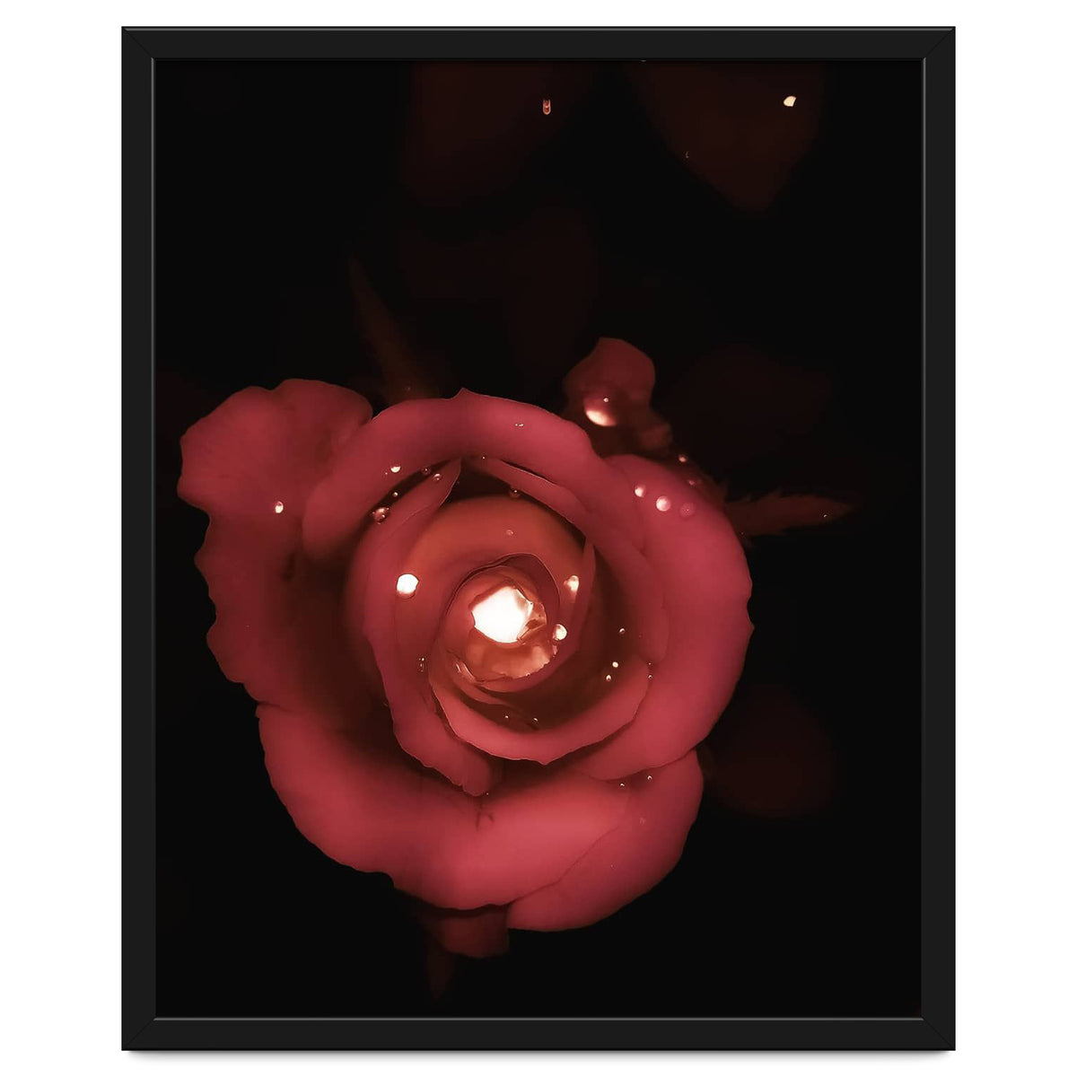 Lighting Rose