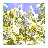 The Contrast Of Desire (Print Only) thumbnail