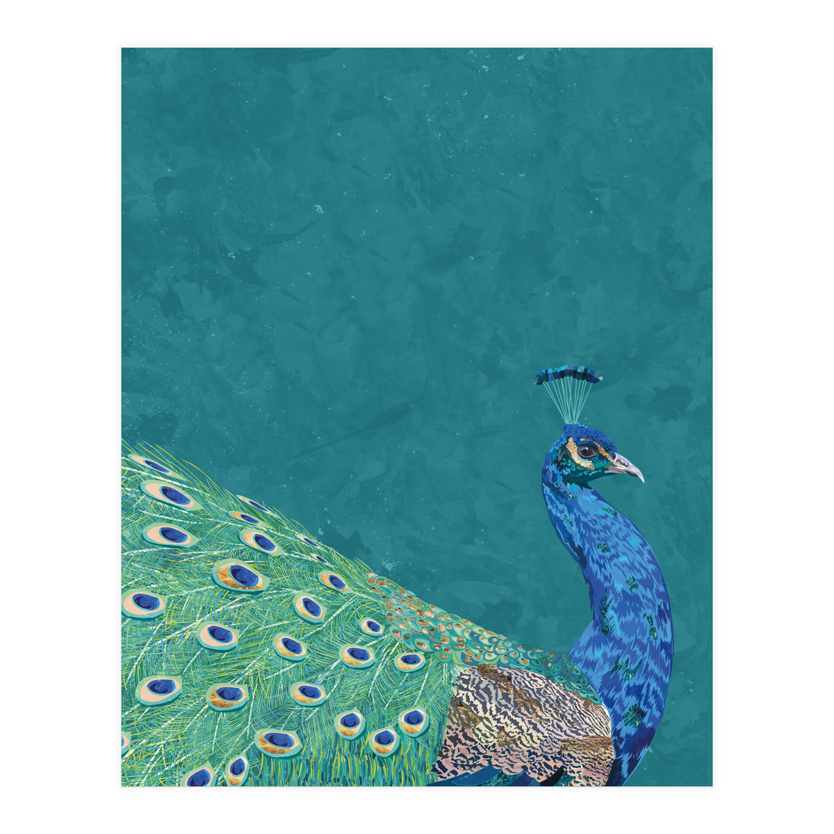 Perfect Peacock Turquoise Portrait (Print Only)