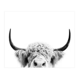 Peeking cow BW (Print Only) thumbnail