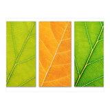 Autumn Leaves (Print Only) thumbnail