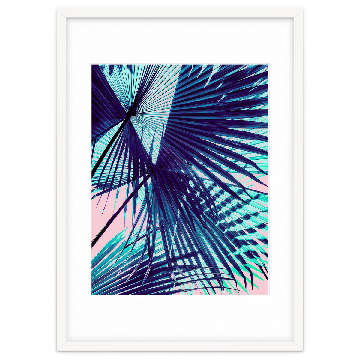 Palm leaf on the beach